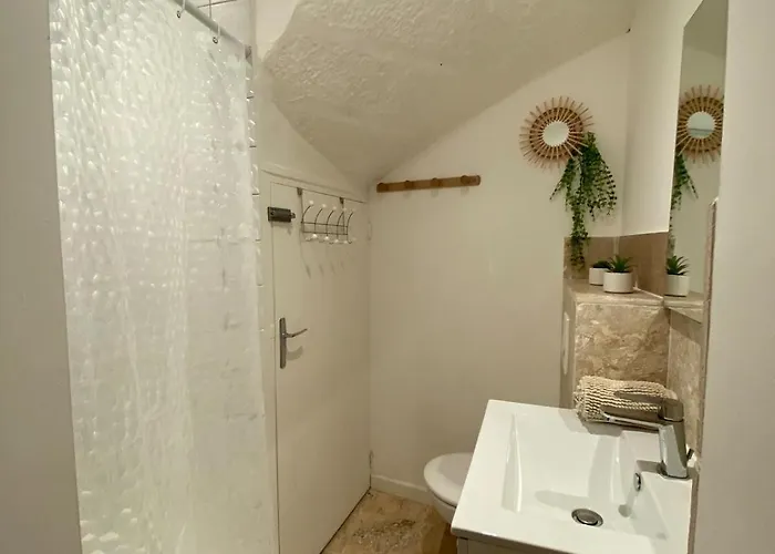 Au Coeur Du Village דירה Saint-Rome-de-Tarn