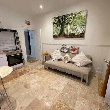 Au Coeur Du Village Διαμέρισμα Saint-Rome-de-Tarn